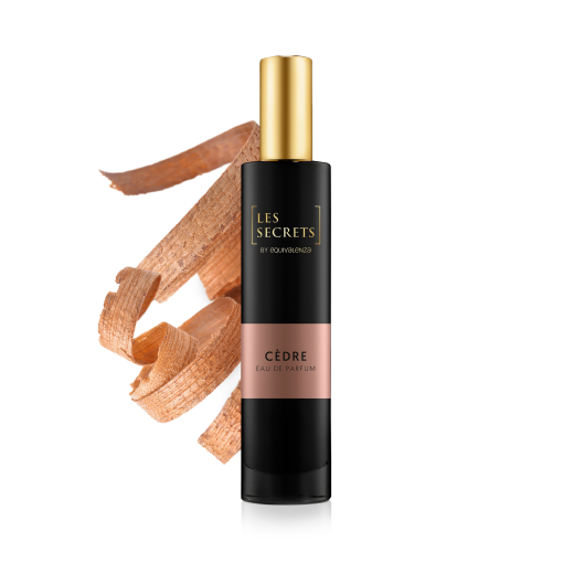 CEDRE@3x